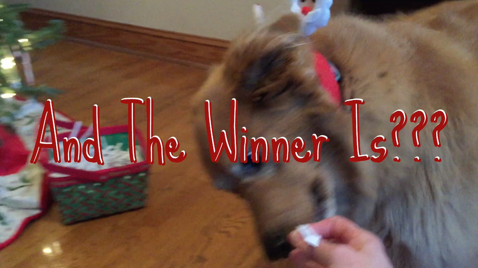 Spivey Insurance Contest Winner